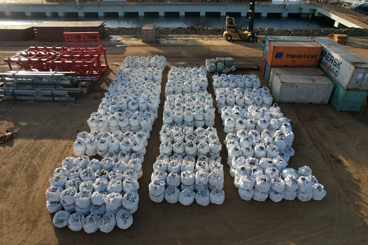 "The Nickel Industry: From Hype to Bailouts"