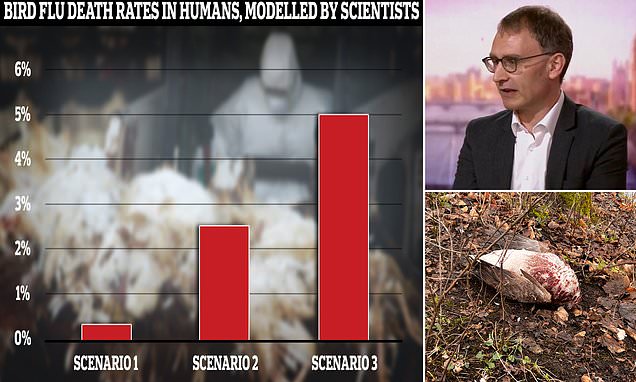 Worst-case scenario models predict 5% fatality rate for bird flu in humans.