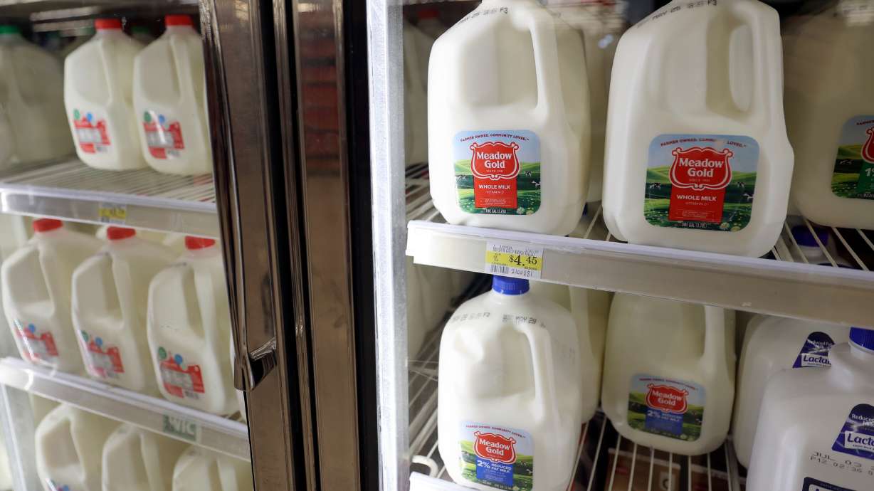 Featured image for Dairy Products Linked to Poor Sleep and Nightmares