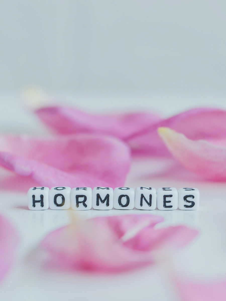 Featured image for "9 Daily Habits for Better Hormone Health"