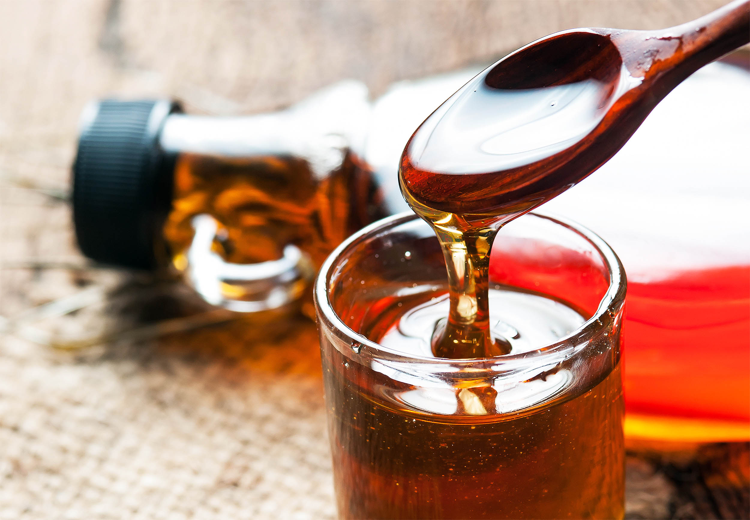 Featured image for Scientists Find Health Benefits in Adding Maple Syrup to Your Diet
