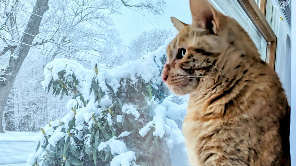 Featured image for "Snowy Weekend Forecast: Lake Effect Snow and Winter Weather Advisory Across Upstate NY"