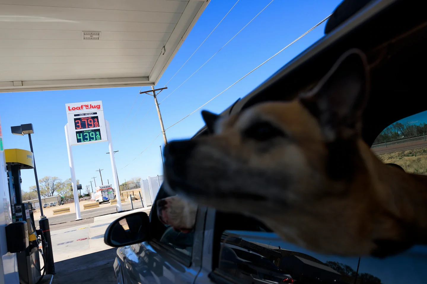 Markets slide to 2026 low as Iran conflict lifts oil and dampens confidence