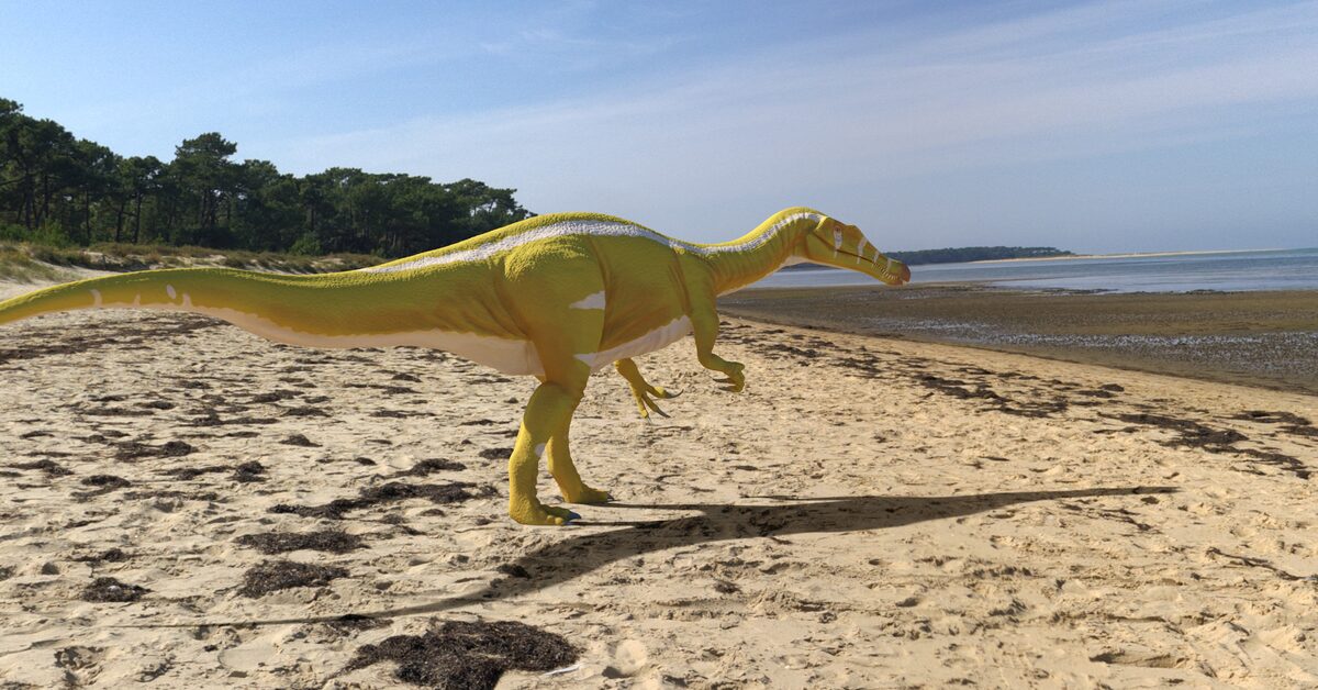 "Spain Unearths New Meat-Eating Dinosaur Species"