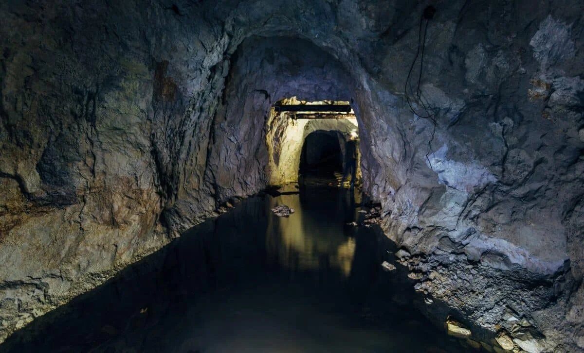 Underwater Texas Cave Reveals Dense Megafauna Graveyard From Last Interglacial