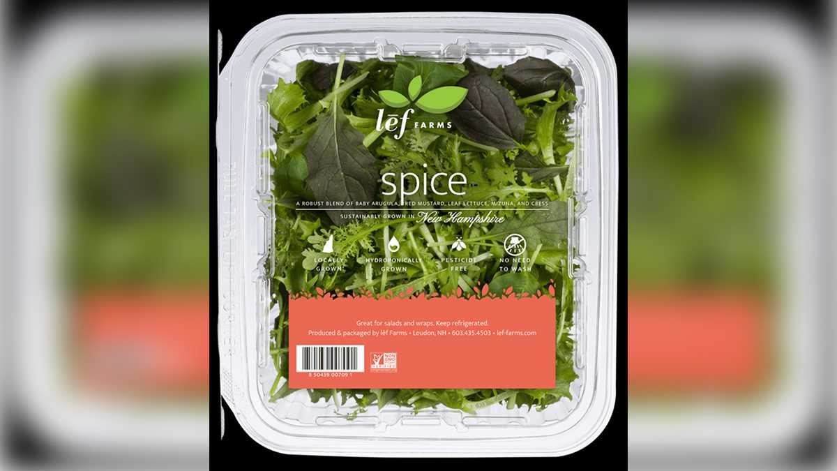Featured image for E. coli contamination prompts New Hampshire salad recall.