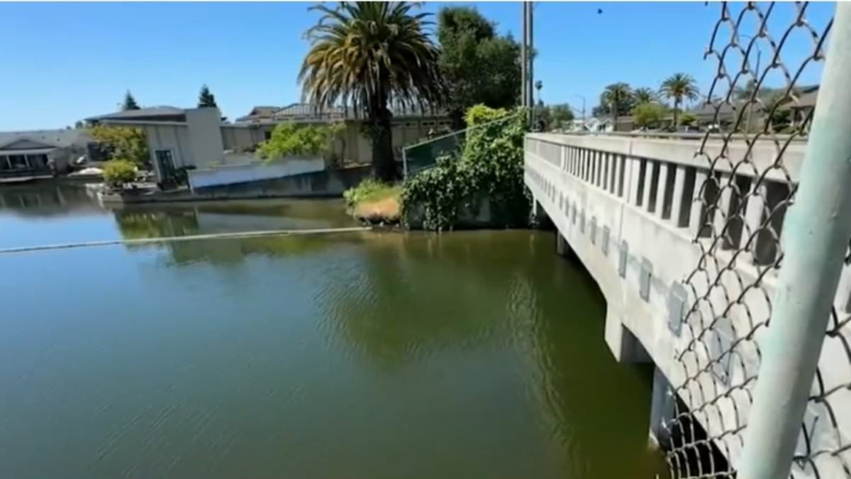 Featured image for Bay Area Property Listed for $400K Turns Out to Be Underwater