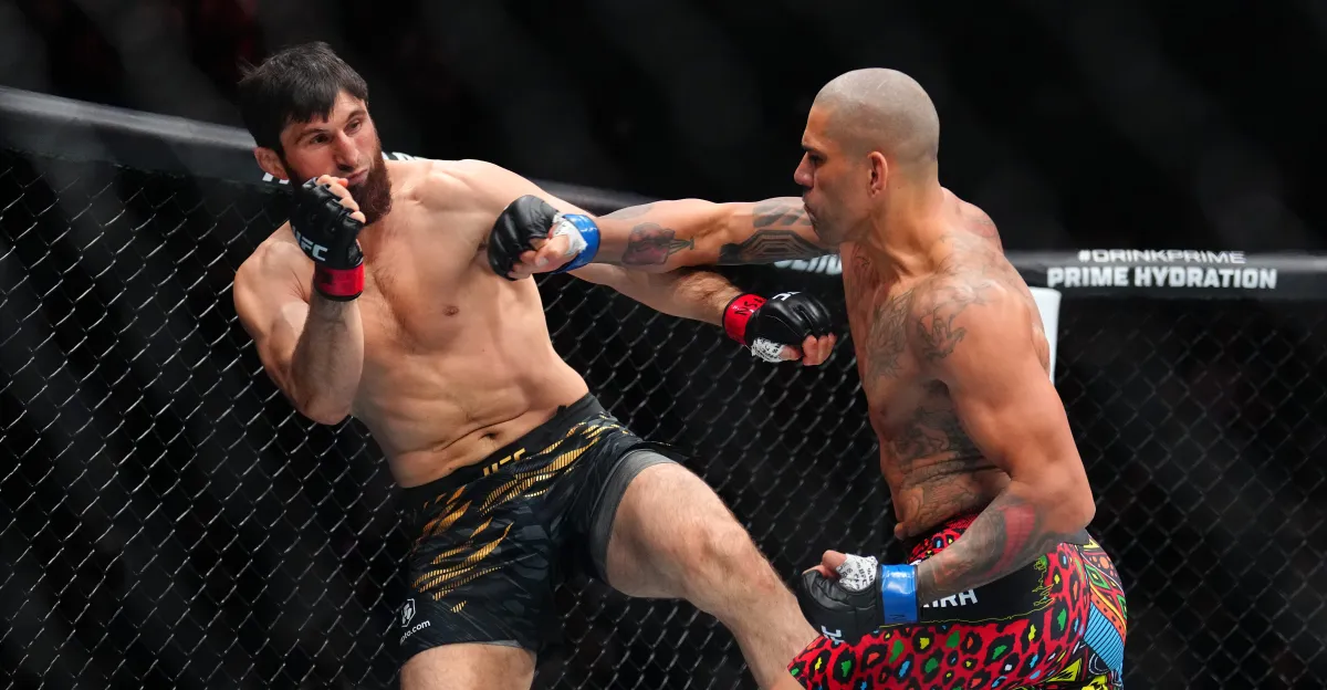 Featured image for Alex Pereira Dominates Magomed Ankalaev to Reclaim UFC Title