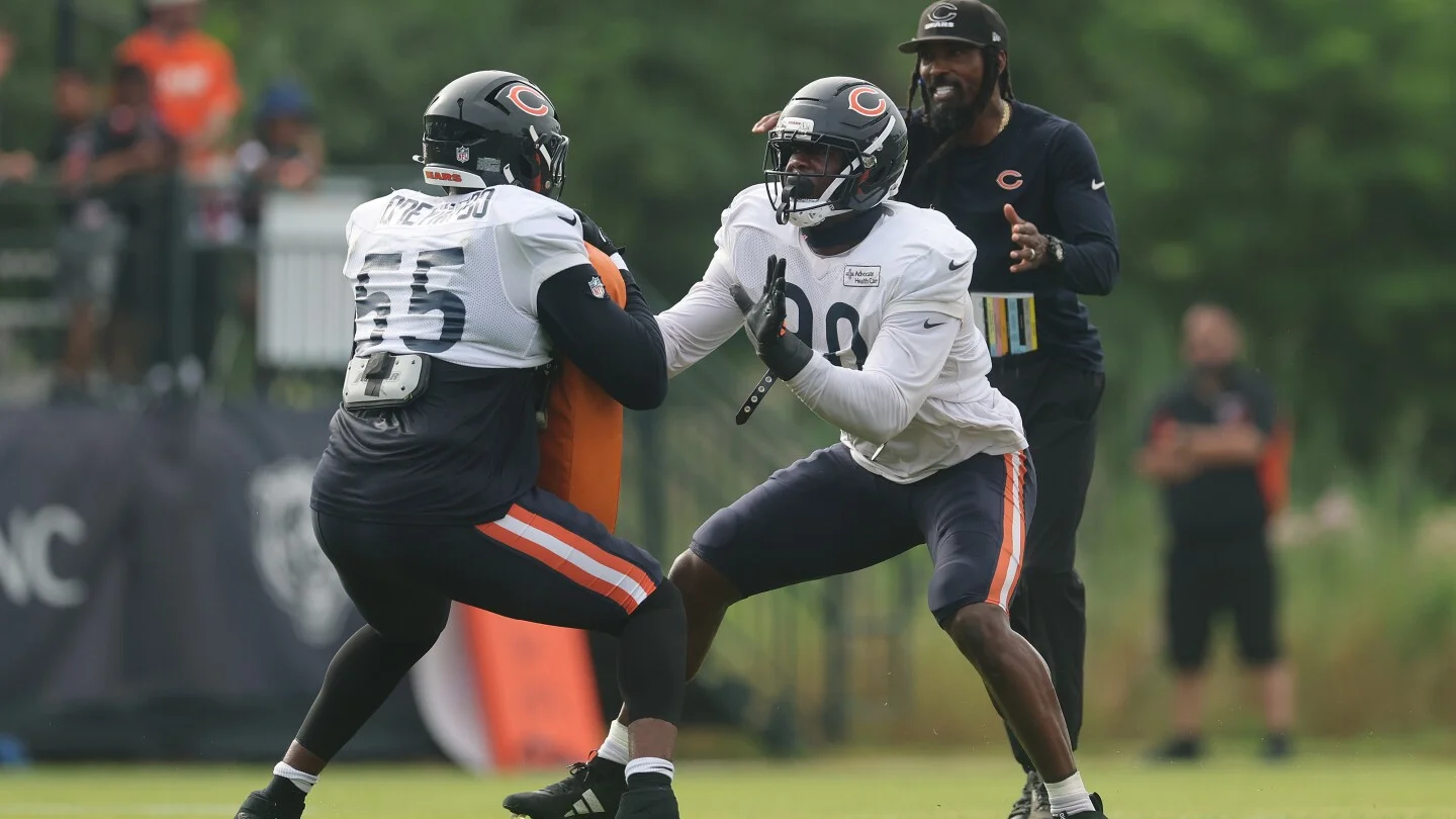 Bears' New Regime Praised for High Standards and Potential