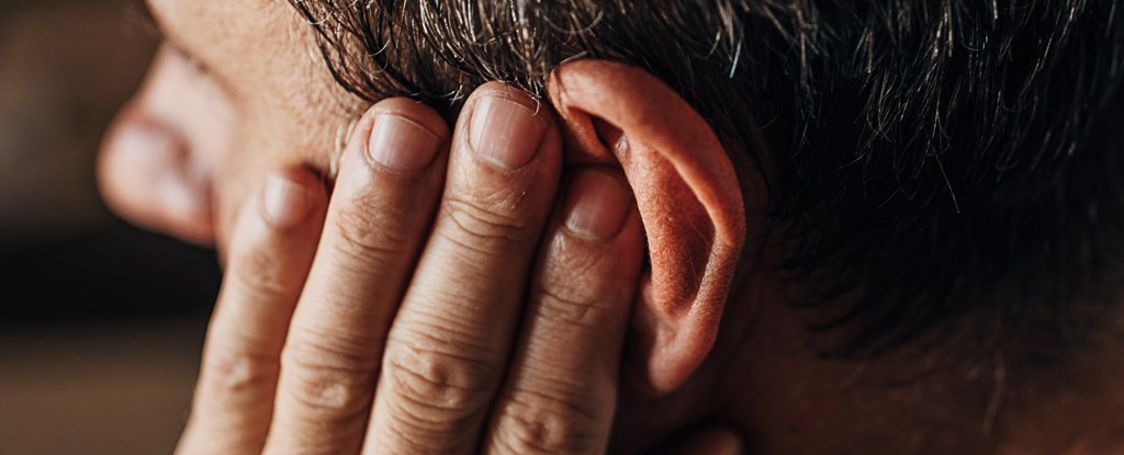 Featured image for Link Between Tinnitus and Essential Bodily Function Uncovered