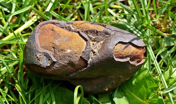 "Magnetic Interference: The Risks of Using Magnets to Find Meteorites"