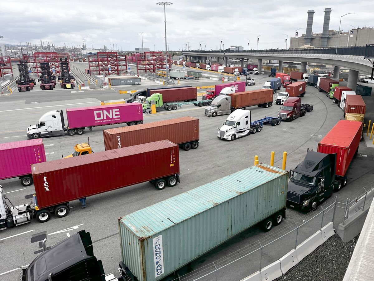 OECD Warns Trump’s Tariffs Threaten U.S. and Global Economic Growth
