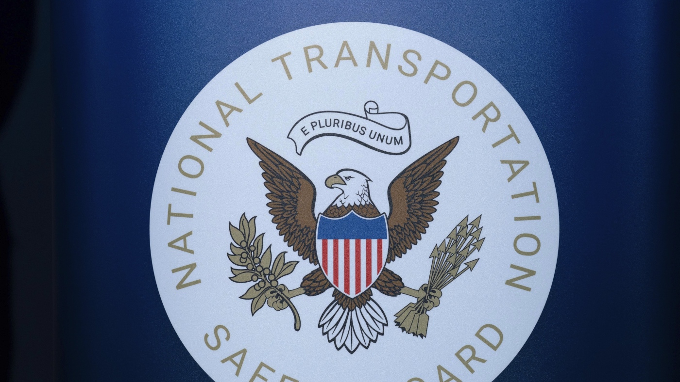 Pilot's Attempt to Avoid Turtle on Runway Contributes to NC Plane Crash