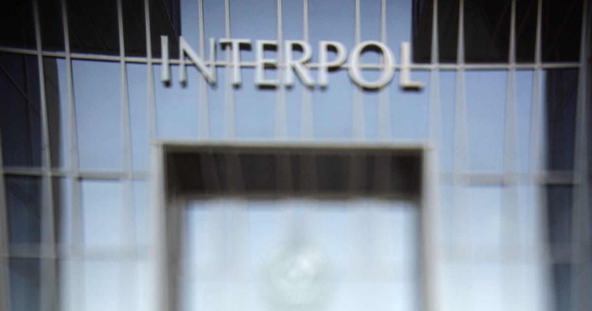 "Interpol's Centennial Battle: Fighting for Survival"
