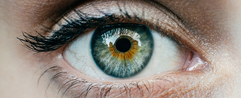 Featured image for Eye Clock: A Revolutionary Tool to Assess Disease Risk Based on Age