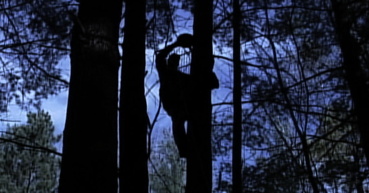Child-involved Hunting Accidents Leave Multiple Hunters Injured