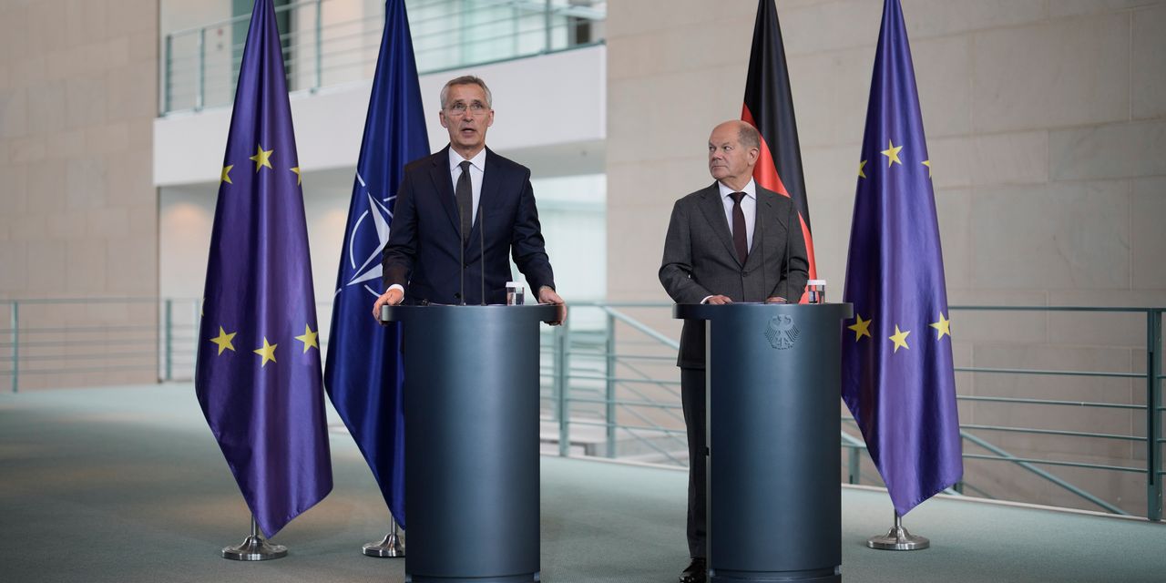 NATO Allies Divided on Ukraine's Membership Status