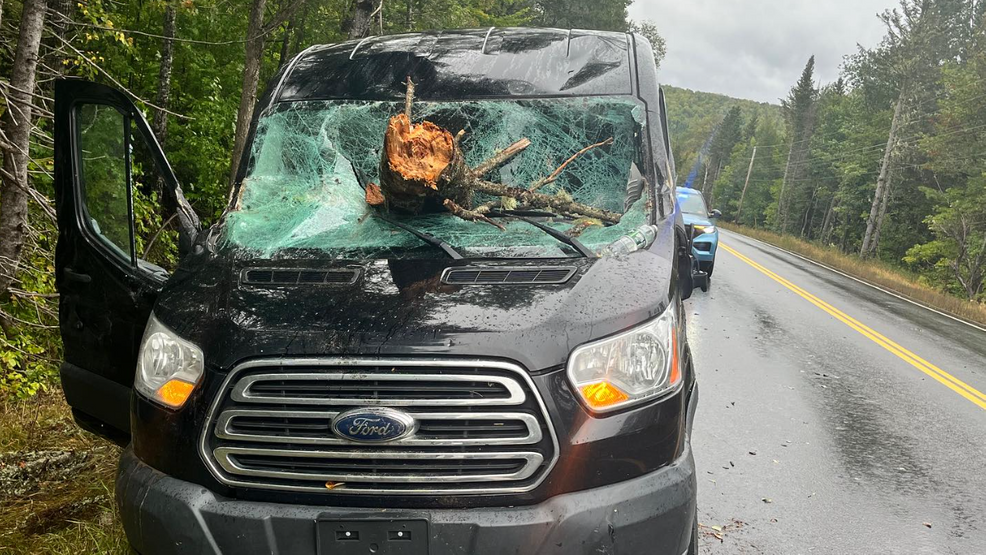 Featured image for "Miraculous Escape: Tree Smashes Van Windshield in Maine, No Serious Injuries"