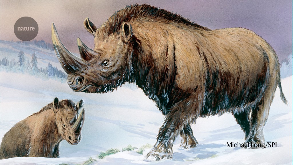 Ice Age Woolly Rhino Genome Uncovered in Ancient Hyena Droppings