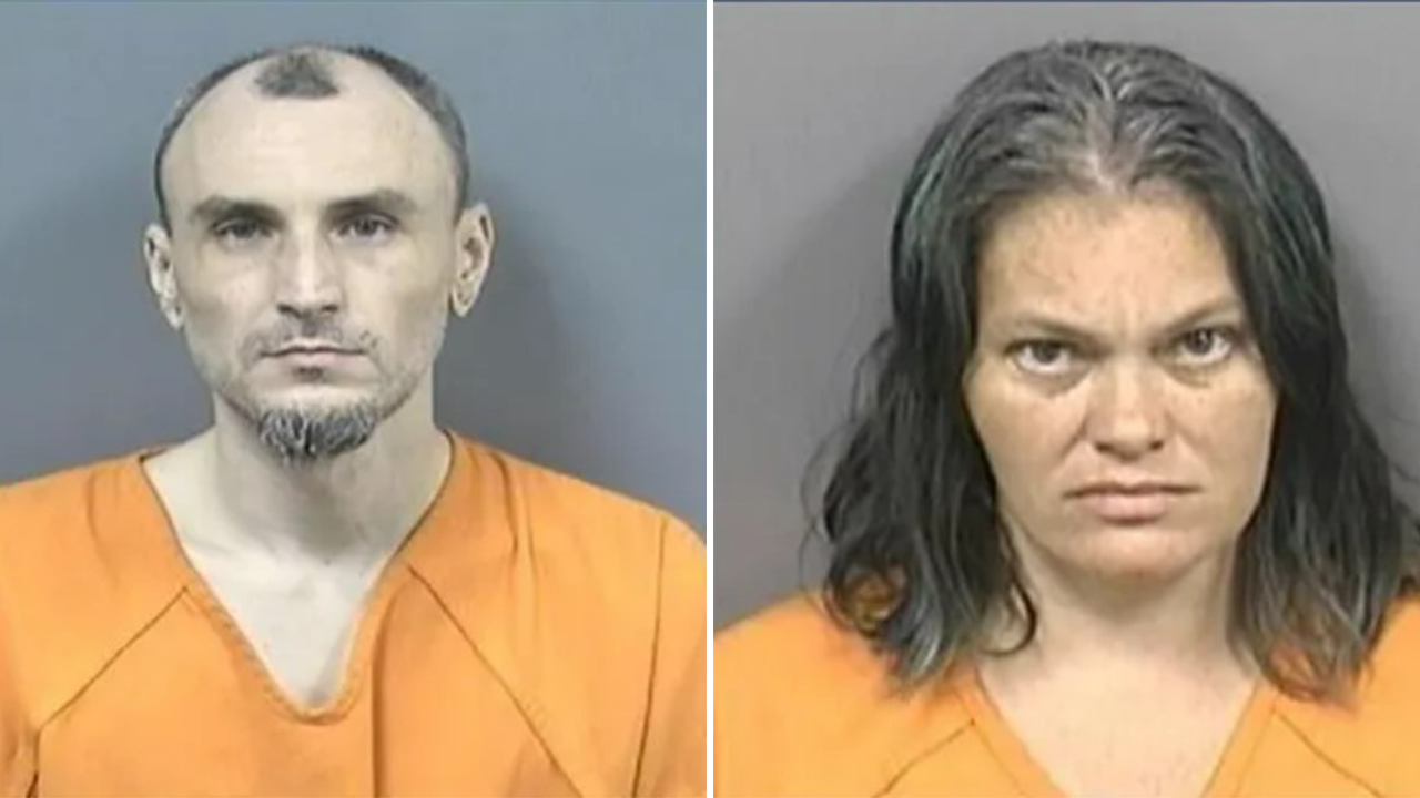 Multiple Florida Arrests Made for Animal Cruelty and Neglect