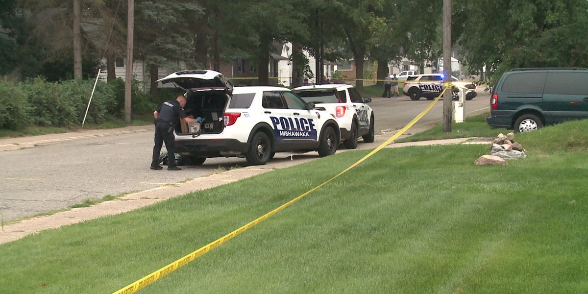 Teen Allegedly Stabs Mother and Dogs, Citing Demonic Possession