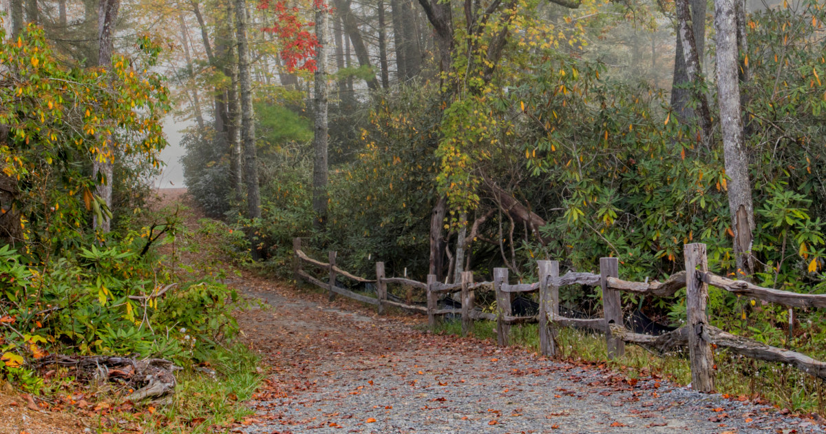 Featured image for "Allegations of Neglect and Assault at NC Wilderness Camp Where Boy Died"