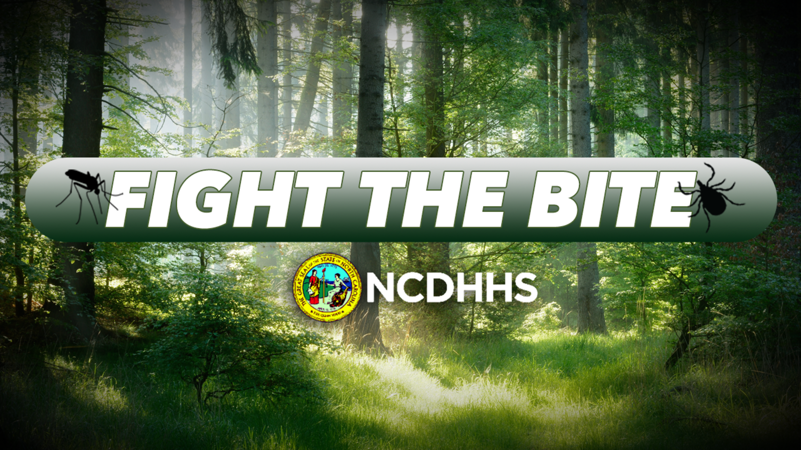 Featured image for "Protect Yourself: Tips to Avoid Tick and Mosquito-Borne Diseases"