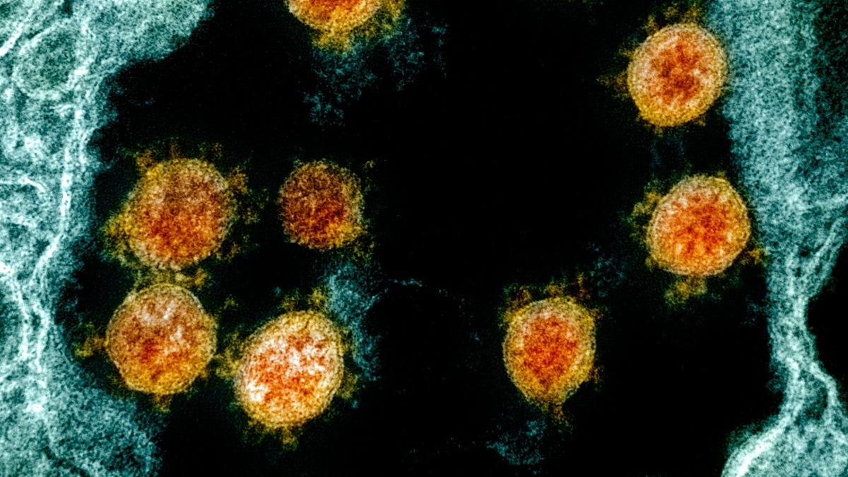 Featured image for Understanding the Concerns: A Johns Hopkins Scientist Analyzes the Uptick in Covid Cases