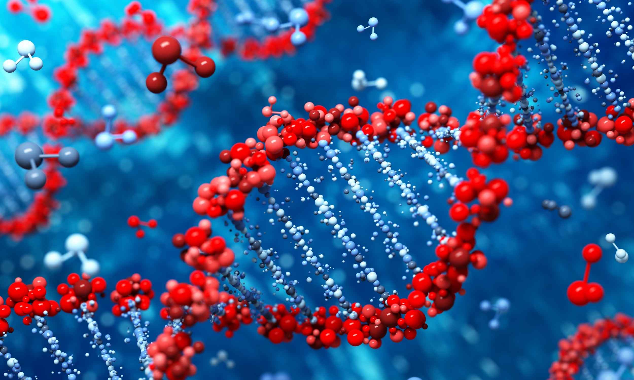 Featured image for Scientists dismiss key evolutionary theory as mere statistical noise