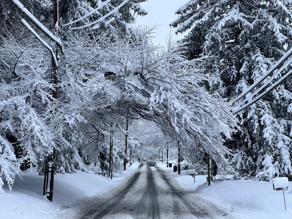 Featured image for "Snowfall Impact: Latest Totals and School Closures Across Pennsylvania"