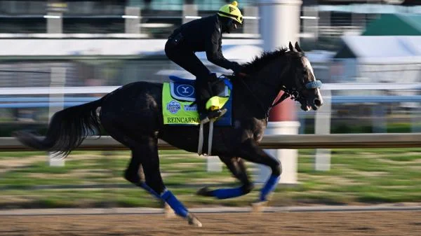 "Expert Picks: Long Shots and Fair Odds for the 2023 Kentucky Derby and Oaks Races"