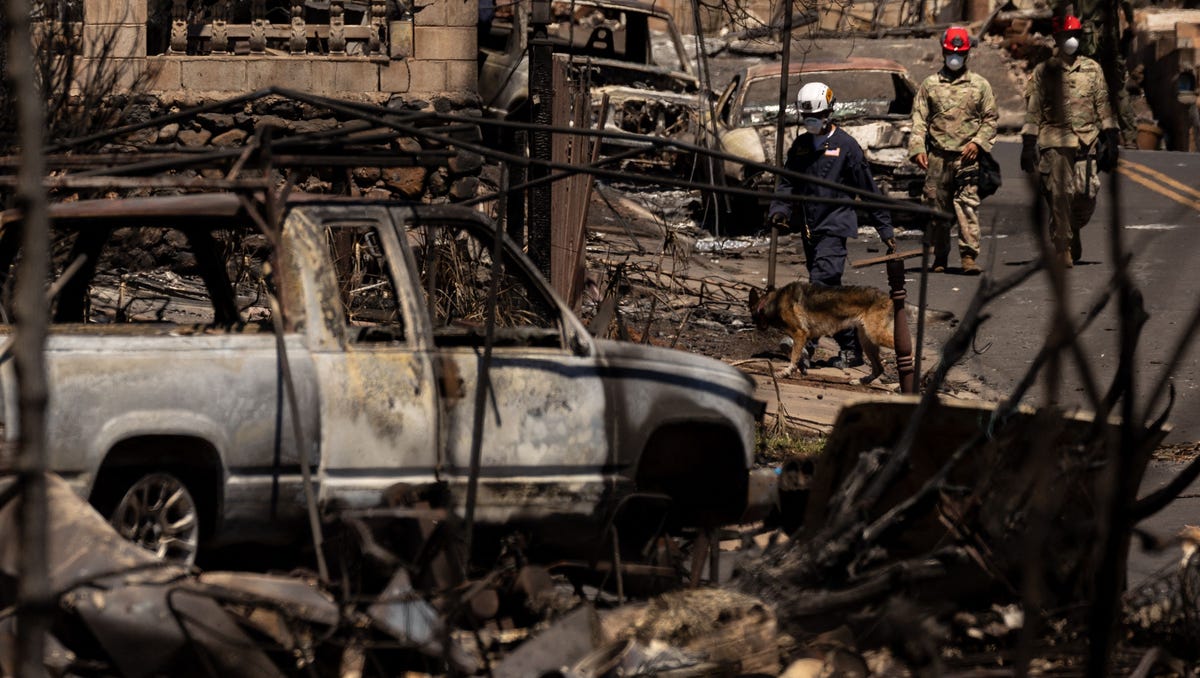 "Maui Wildfire Relief Efforts: FEMA, Congress, and Japanese Prime Minister Step Up with Millions in Aid"