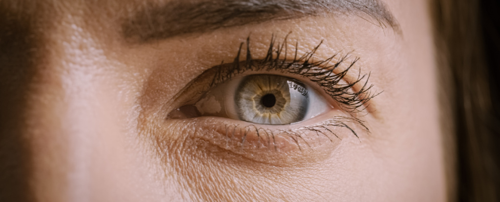 "Pupil Dilation: The Window into Your Brain's Functionality"