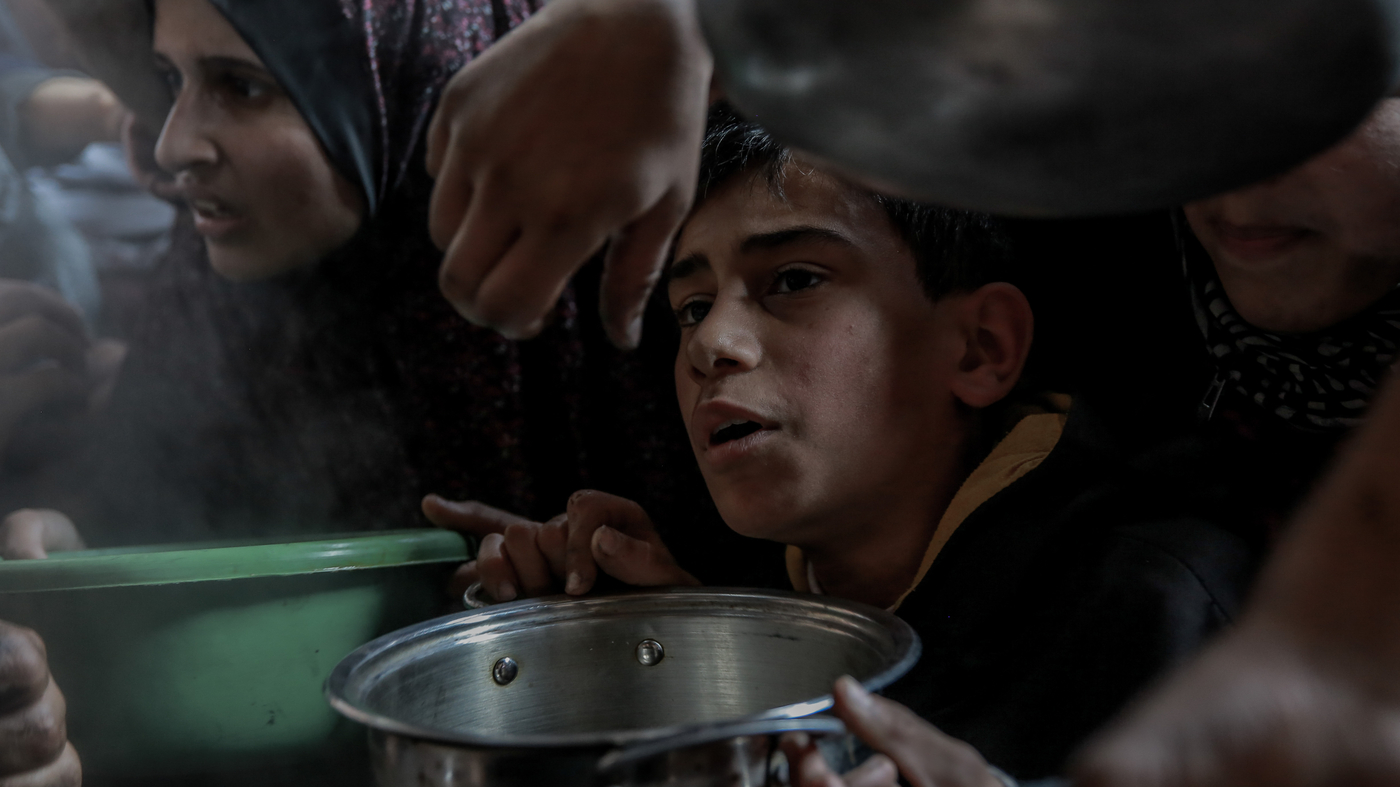 "Gaza Residents Resort to Boiling Weeds and Eating Animal Feed to Survive"