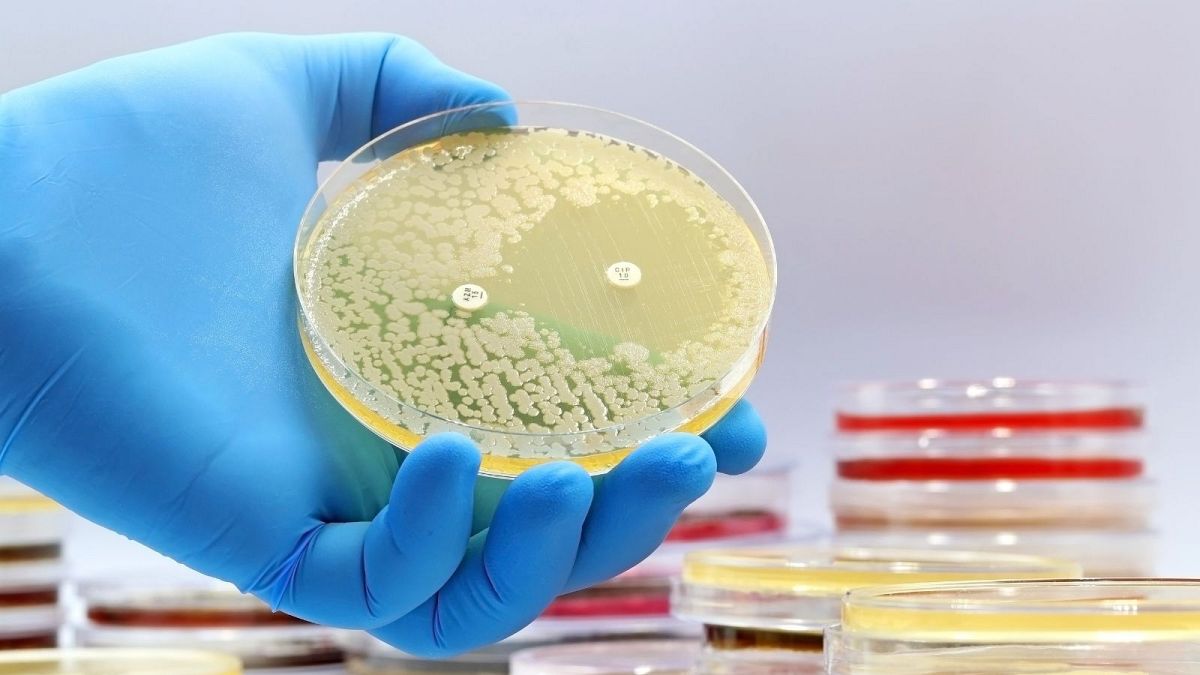 AI Unveils Groundbreaking Antibiotics, Revolutionizing Drug Discovery