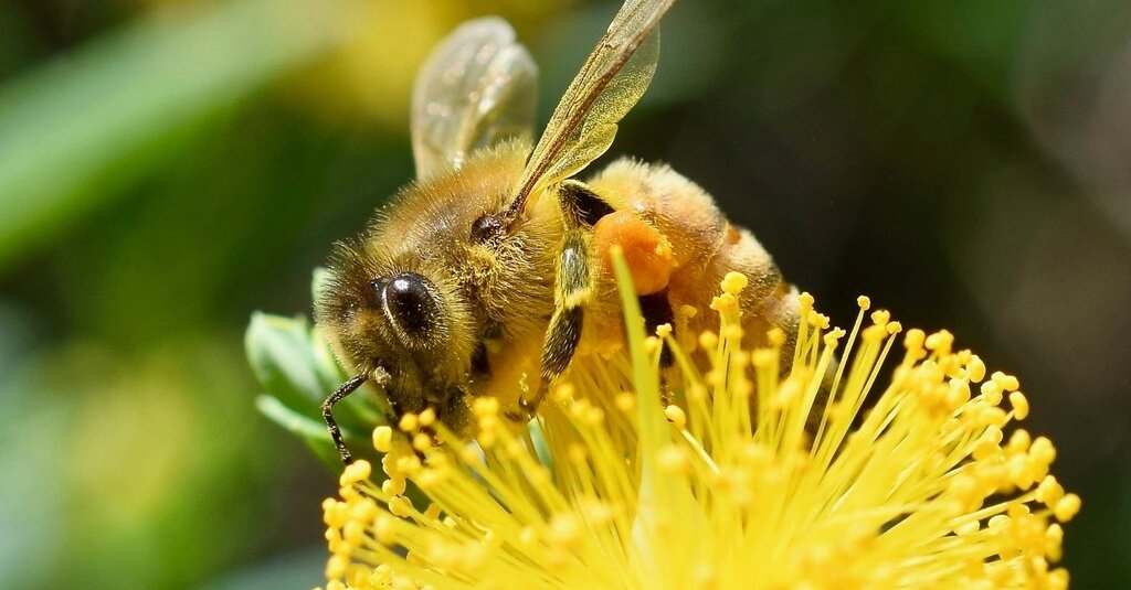 Featured image for "November 17-19, 2023 Spelling Bee Answers Revealed"