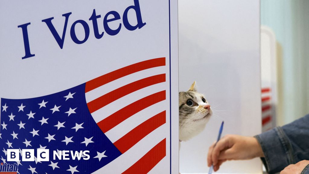 Featured image for US Election Day 2024: Americans Head to the Polls