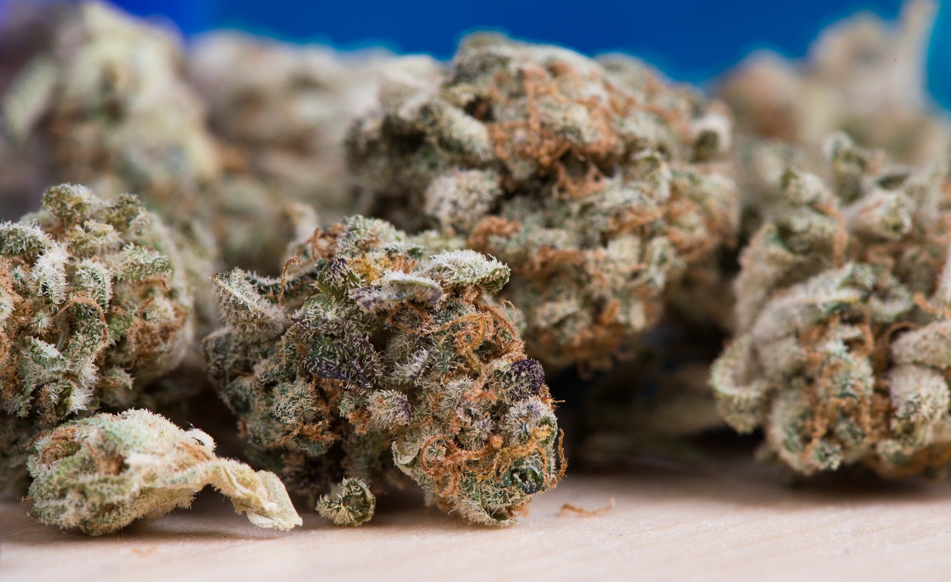 Cannabis use in pregnancy linked to fetal growth issues.