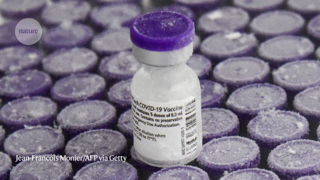 AI tool creates highly effective and stable mRNA vaccines for COVID-19.