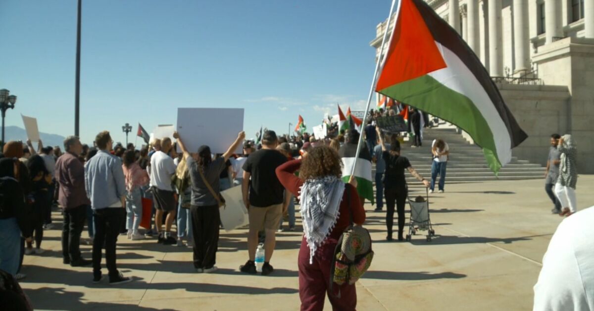 Global Demonstrations Demand Ceasefire and Support for Palestine