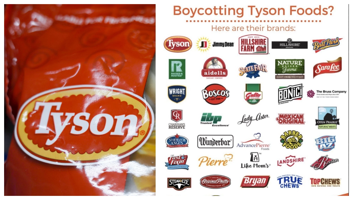 Featured image for "Conservative Backlash: Tyson Foods' Immigration Policy Sparks Stock Downgrade and Layoffs"