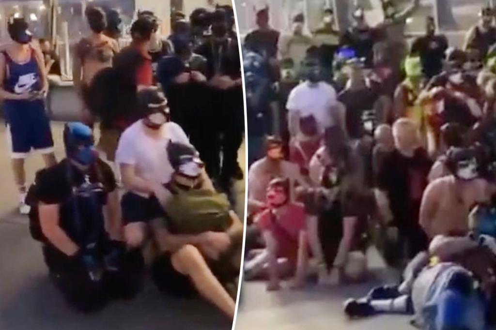 "City Center Overrun by Dog-Identifying Humans: Chaos Ensues"