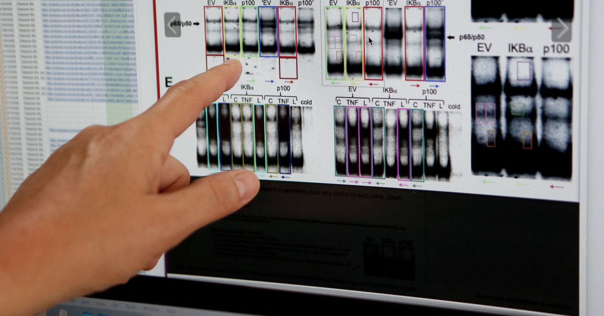 Featured image for Unveiling the Secrets: Exposing Scientific Misconduct and Fraud