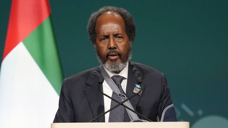 Somali President's Son Convicted in Turkey for Fatal Crash, Avoids Jail
