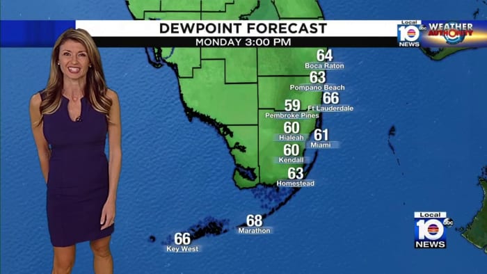 Chilly Weather Approaches South Florida: Cold Front Brings Cooler Temperatures