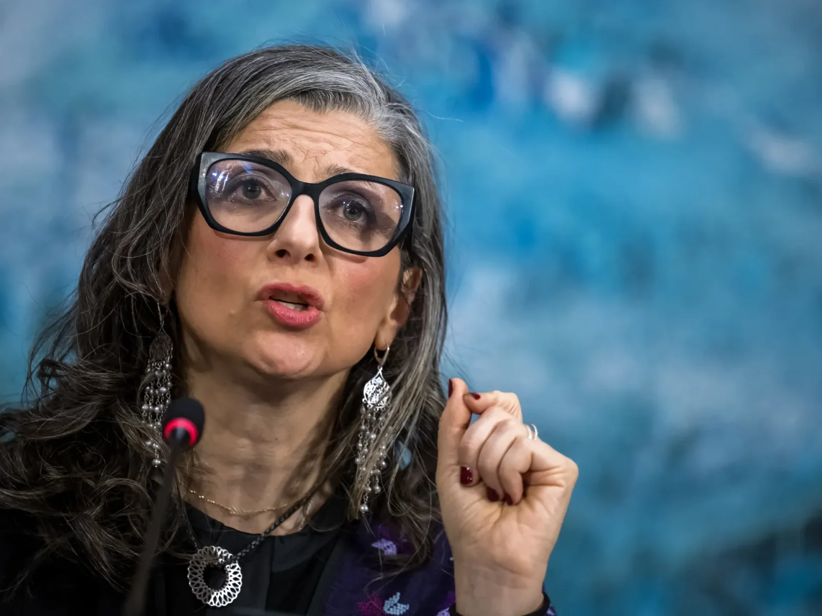 UN rights expert warns global inaction enables torture of Palestinians