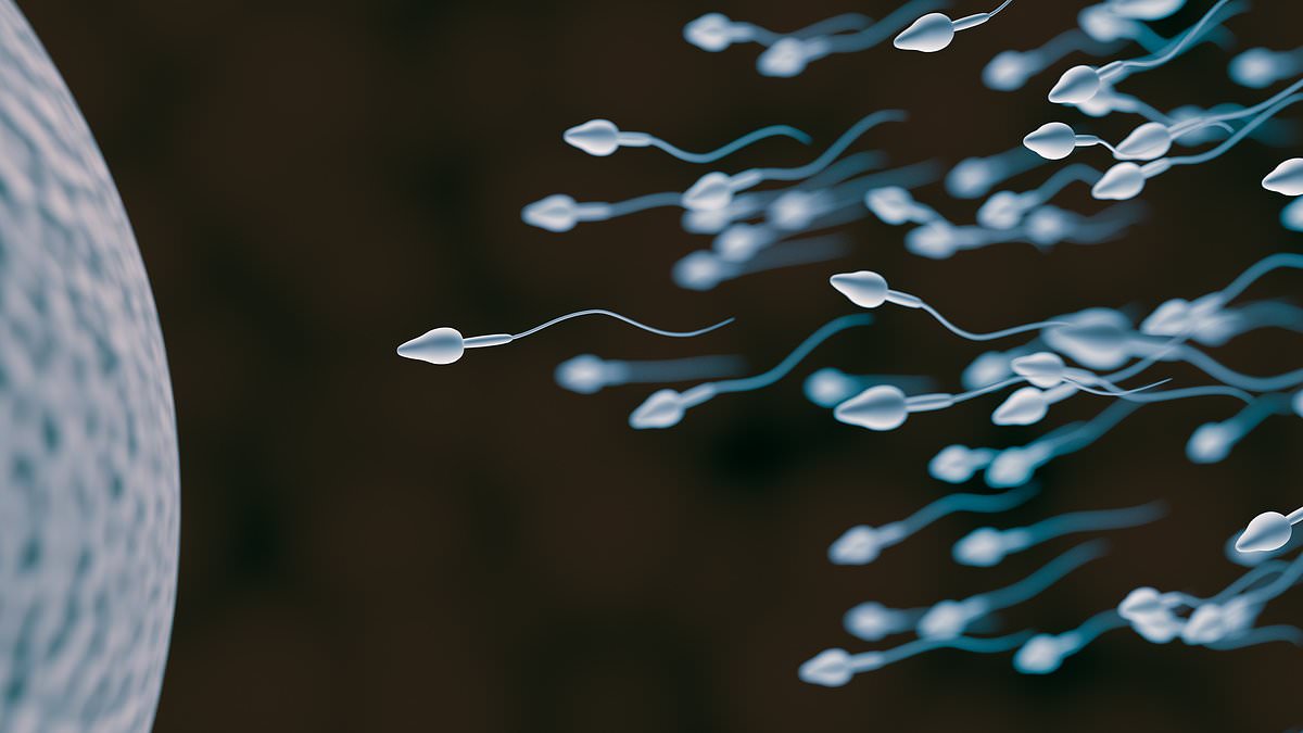Featured image for Sperm Cells Defy Newton's Laws: Scientists Uncover the Mystery