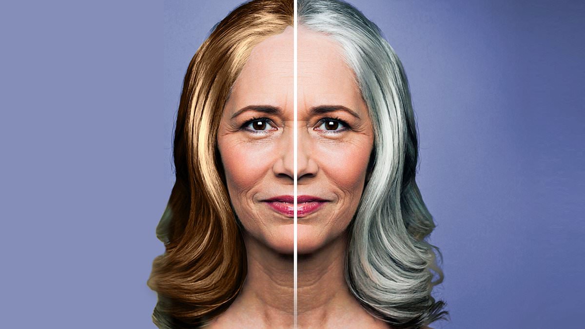 Featured image for "Expert Tips for Maintaining Natural Hair Color Without Dye"