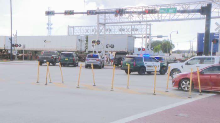Fatal Train Accidents Claim Lives of Pedestrians in Deerfield Beach and Round Lake.