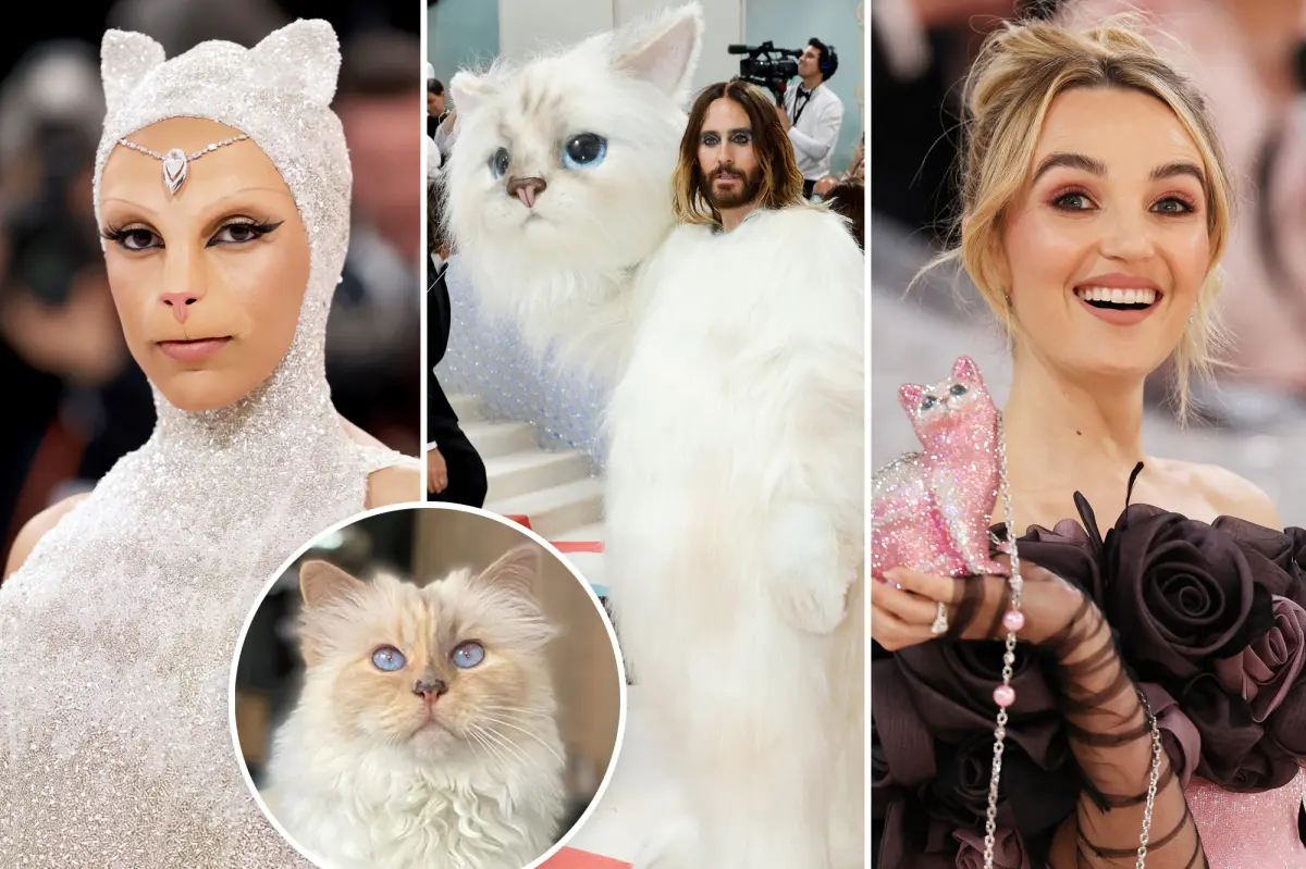 Featured image for Met Gala 2023: Fashion, Felines, and Controversy